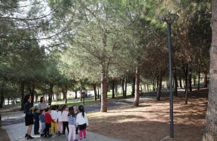 SOKAK MOBİLYALARINI TANIYORUM