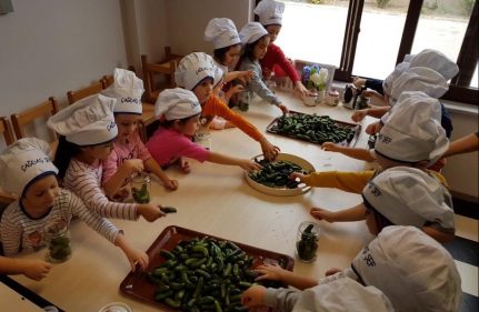 ÇOCUK MUTFAĞINDA ORGANİK ÜRÜNLER