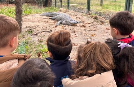 HAYVANLARI TANIYORUM, DOĞAYI KEŞFEDİYORUM