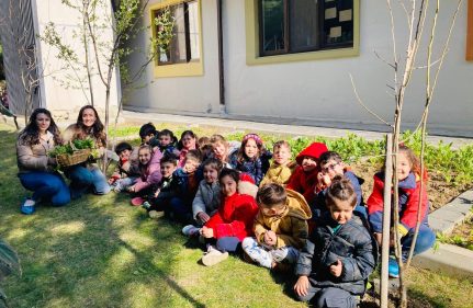 BAHÇEDEN TABAĞA: MİNİK ELLERİN YEŞİL SERÜVENİ