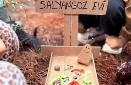 HAYVAN DOSTLARIMIZ İÇİN YAŞAM ALANLARI