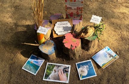 ÖĞRENCİLER "DOĞANIN İZİNDE" PROJESİYLE TOHUM VE KOZALAKLARI İNCELEDİ